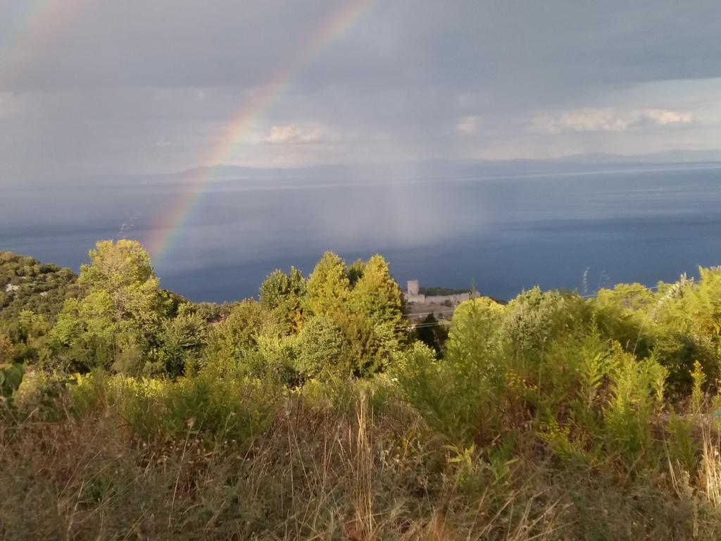 To Xani Otel Palaios Panteleimonas Dış mekan fotoğraf